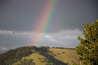 Enlarge photo 328