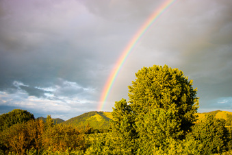 Enlarge photo 334