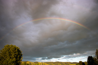 Enlarge photo 343