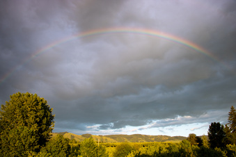 Enlarge photo 344