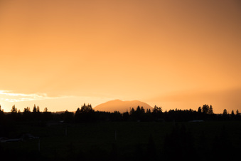 Enlarge photo 346