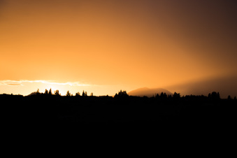 Enlarge photo 349