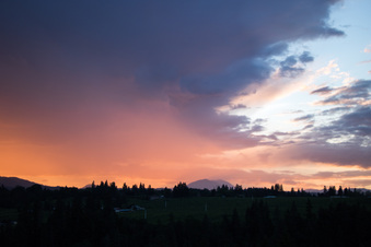Enlarge photo 352