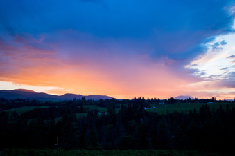Enlarge photo 353