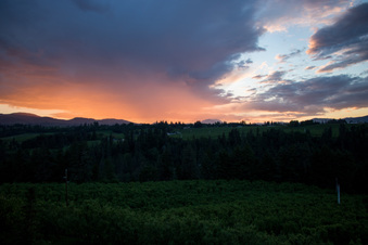 Enlarge photo 354