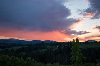 Enlarge photo 355