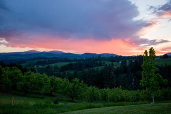 Enlarge photo 356
