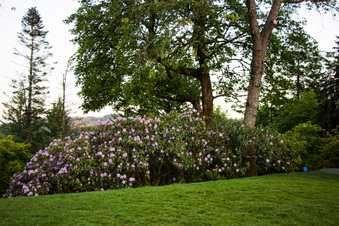 Enlarge photo 371