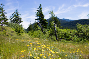 Enlarge photo 387