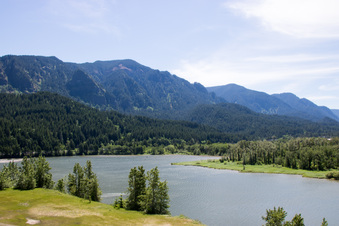 Enlarge photo 393