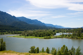 Enlarge photo 394