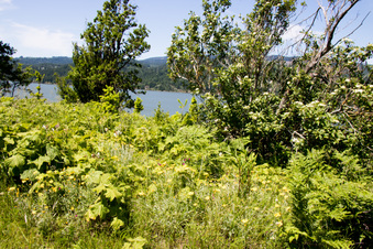 Enlarge photo 399
