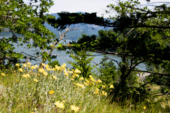 Enlarge photo 403