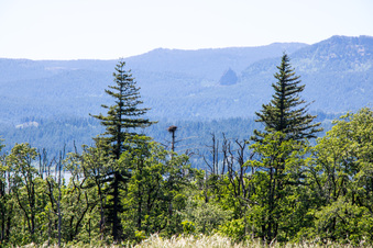 Enlarge photo 407