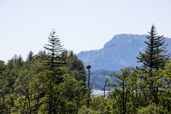 Enlarge photo 410