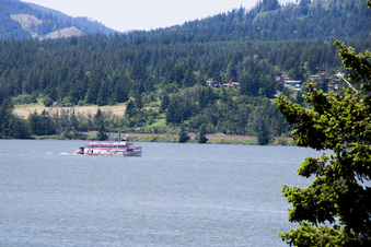 Enlarge photo 412