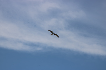 Enlarge photo 414
