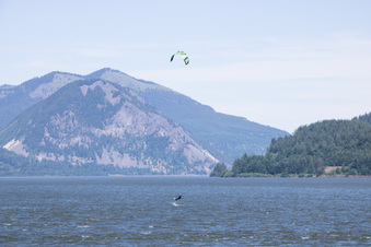 Enlarge photo 424