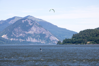 Enlarge photo 426