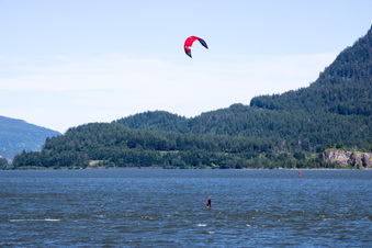 Enlarge photo 428