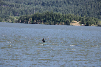 Enlarge photo 432