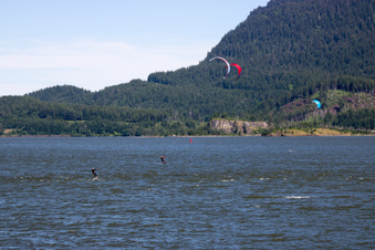 Enlarge photo 435