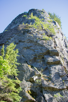 Enlarge photo 450