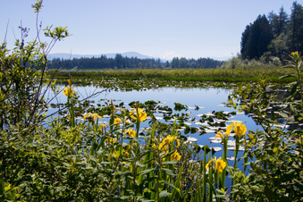 Enlarge photo 452
