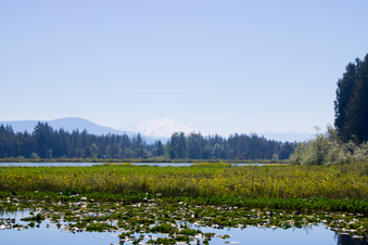 Enlarge photo 457
