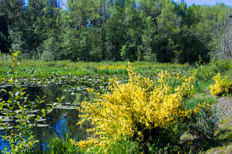 Enlarge photo 461