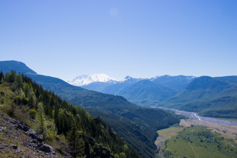 Enlarge photo 465