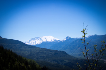 Enlarge photo 467