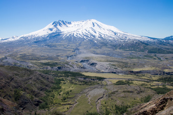 Enlarge photo 470
