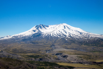 Enlarge photo 472