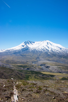 Enlarge photo 473