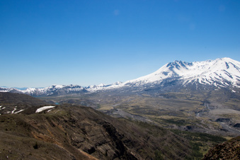 Enlarge photo 475