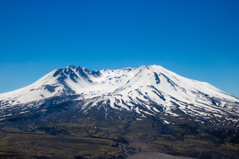 Enlarge photo 476
