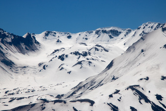 Enlarge photo 477
