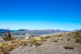 Enlarge photo 478