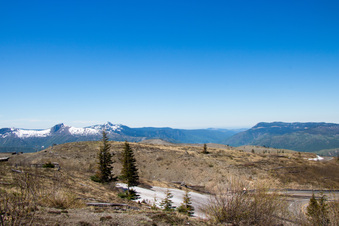 Enlarge photo 479