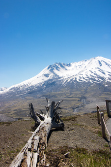 Enlarge photo 480