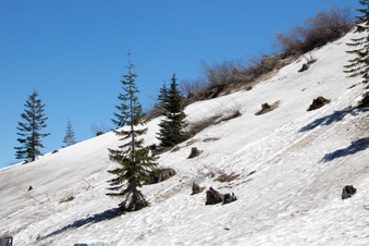 Enlarge photo 485