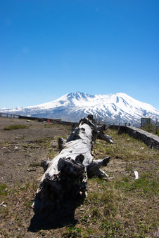Enlarge photo 486