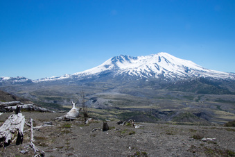 Enlarge photo 488