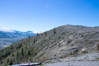 Enlarge photo 489
