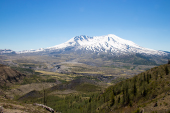 Enlarge photo 490