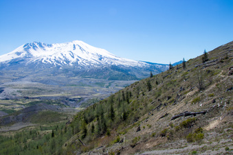 Enlarge photo 491