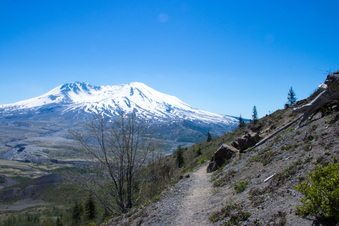 Enlarge photo 492