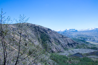 Enlarge photo 493