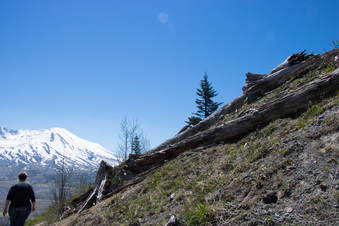 Enlarge photo 495